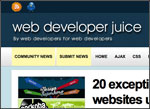 Web developer juice screenshot