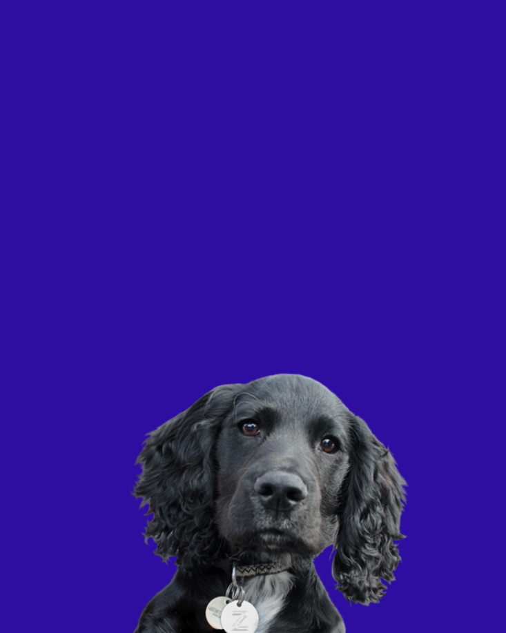 Photo of Bonnie
