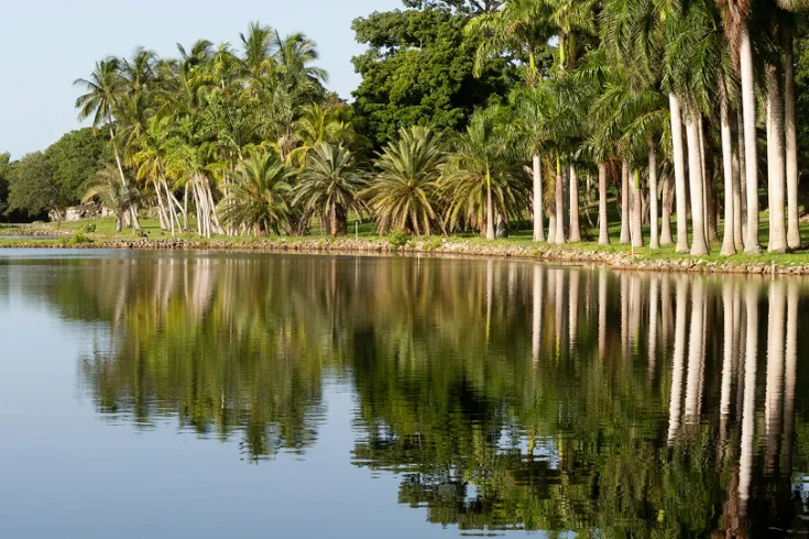 Coral Gables nature scenery 