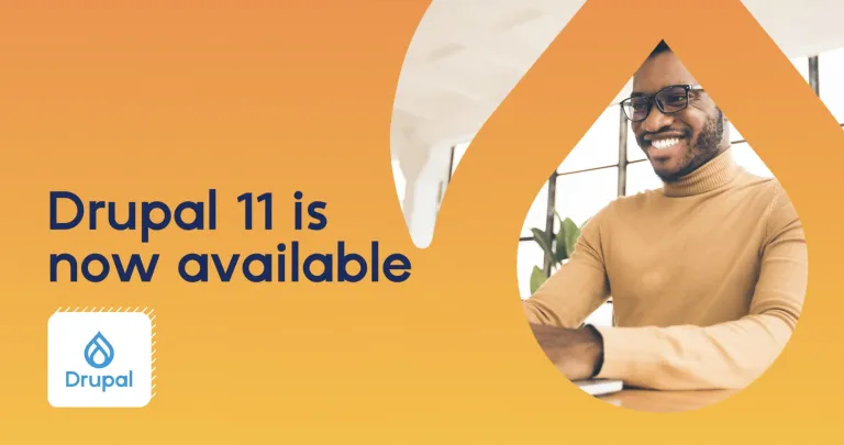 Drupal 11 decorative image