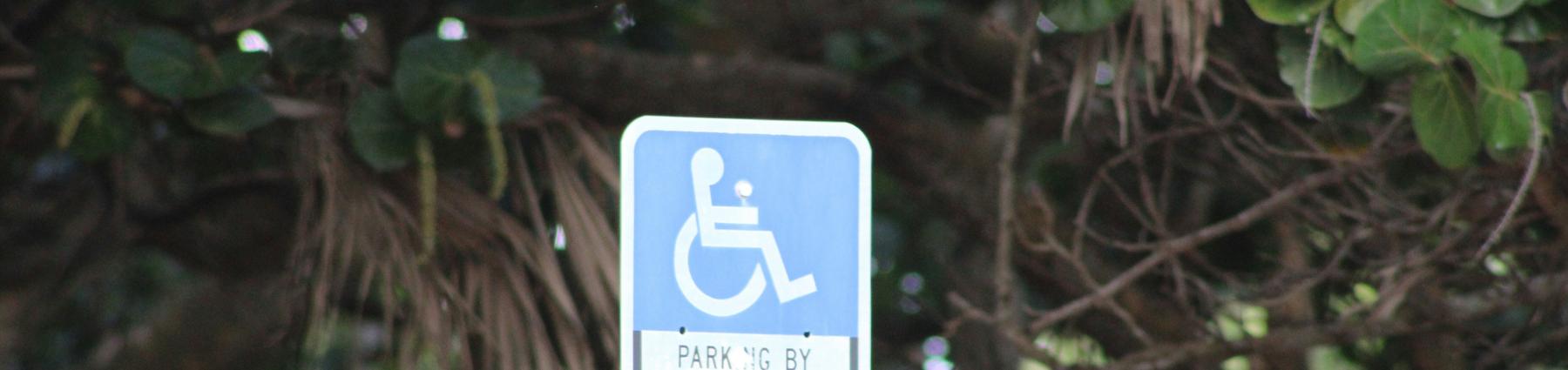 Disabled Parking Sign