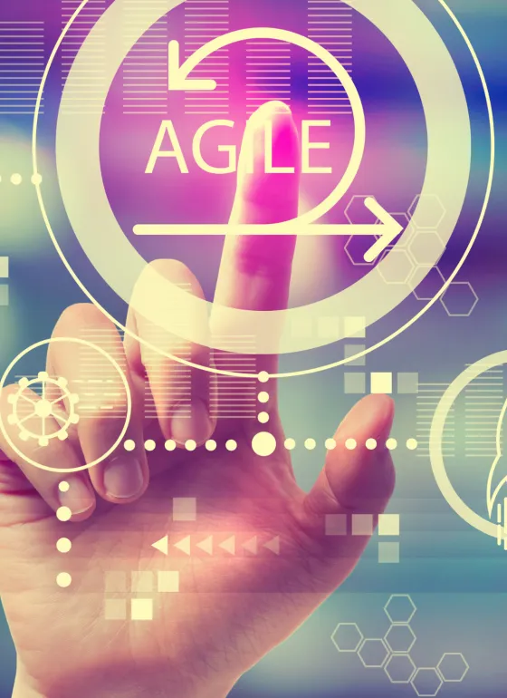 Agile diagram and hand