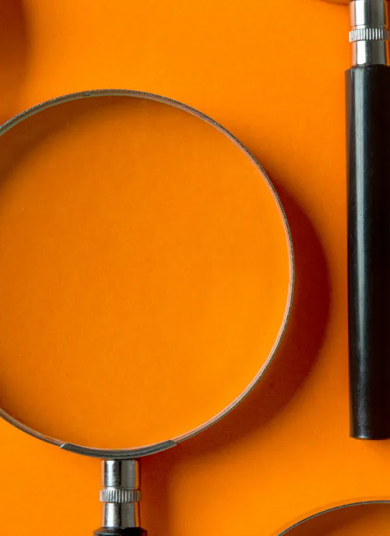 Magnifying glass on an orange background