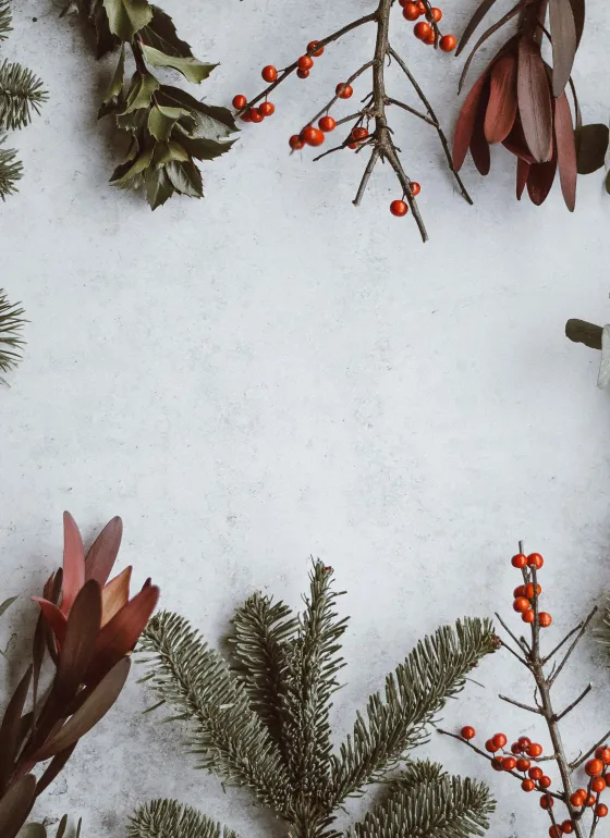 Christmas scene