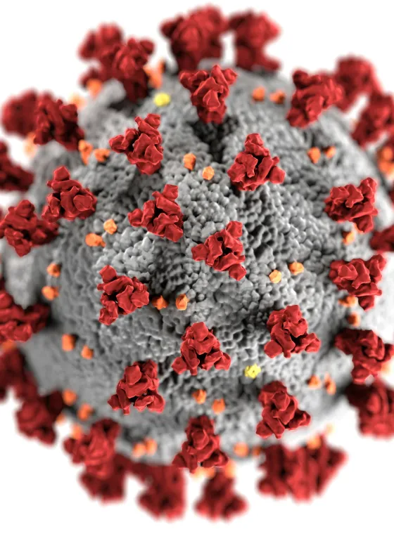 Covid virus