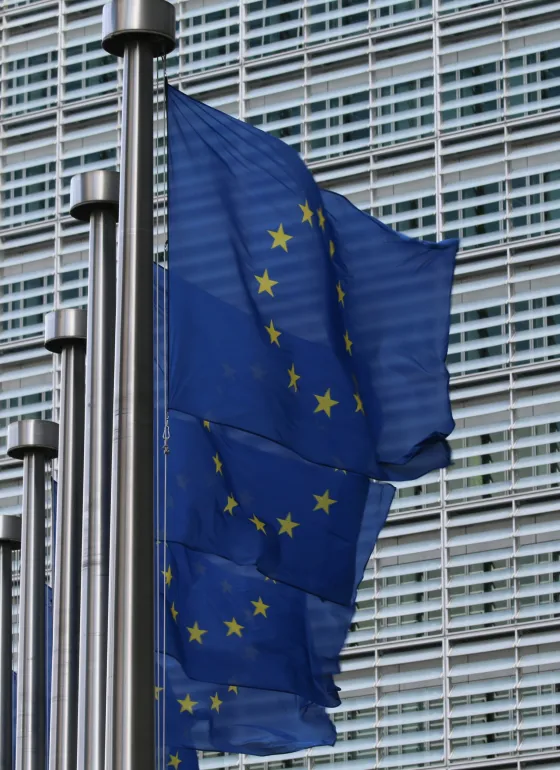 EU flags