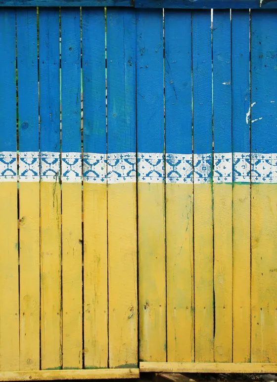 Ukraine colours