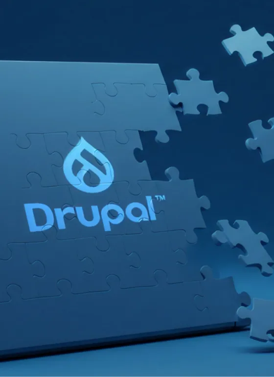 Drupal laptop jigsaw