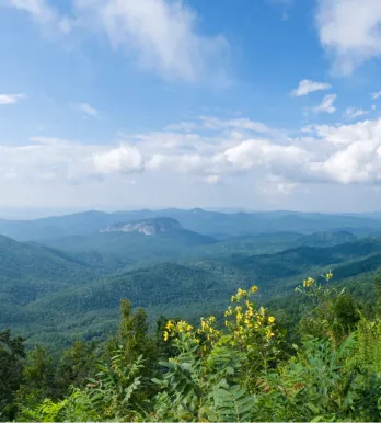 Landscape of greenery and mountain 