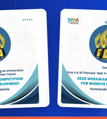 double outstanding website award for zoocha 