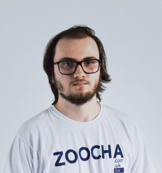 Vinicius Macedo Camara, Support Analyst